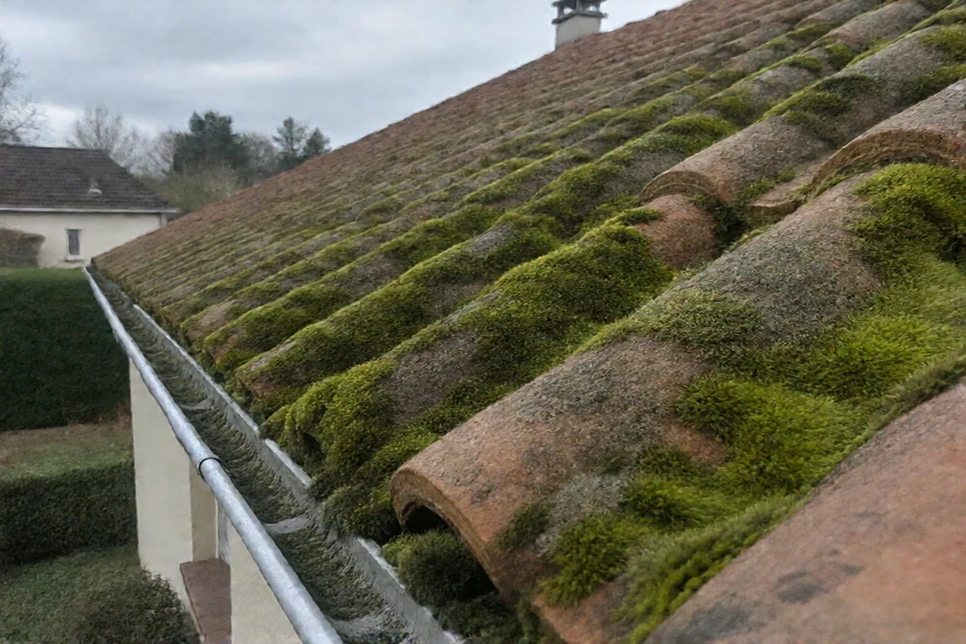 Toiture en tuiles couverte de mousse avant démoussage (Saint-Méloir-des-Ondes, Ille-et-Vilaine)