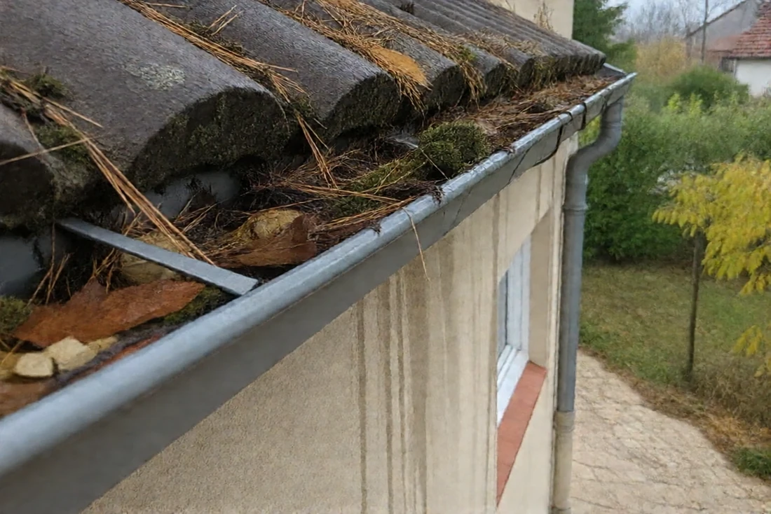 Gouttière en zinc remplie de feuilles et de mousse (Beuzeville-la-Grenier, Seine-Maritime)