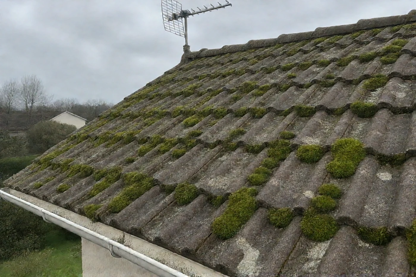 Avant : Toiture en tuiles béton : couverte de mousse en coussins, puis démoussée (Mauron)