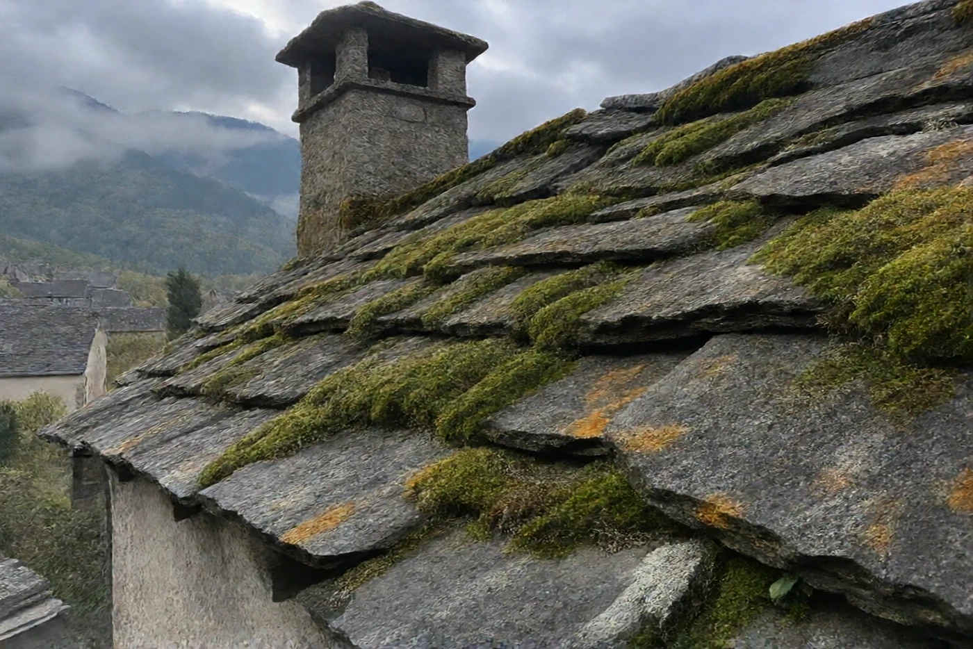 Avant : Toit en lauzes d'ardoise des Pyrénées : moussu, puis nettoyé (Pézilla-la-Rivière)